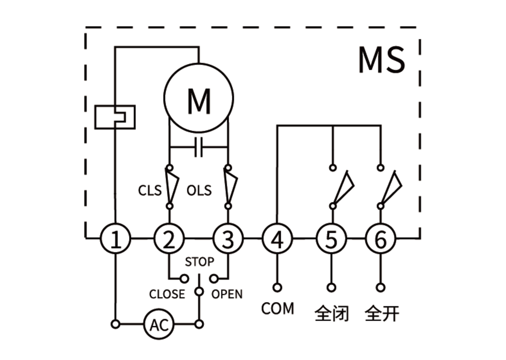 MS MS