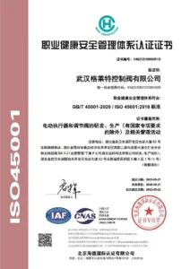 CHS 45001