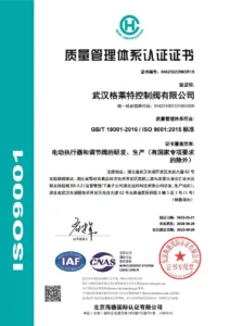 CHS 9001