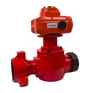 Explosion proof Plug Valve 3