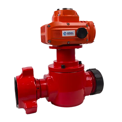 Explosion proof Plug Valve 3