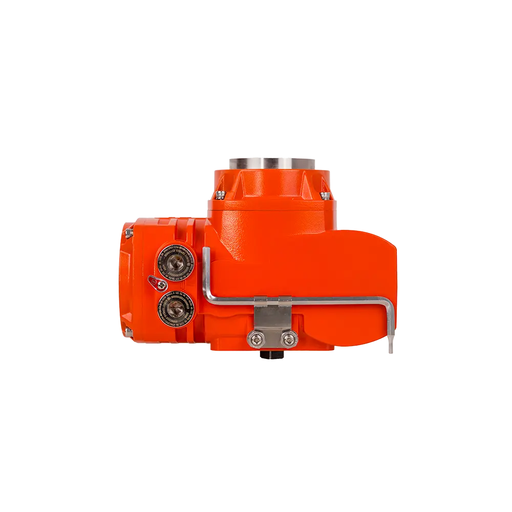 Explosion proof electric actuator 0