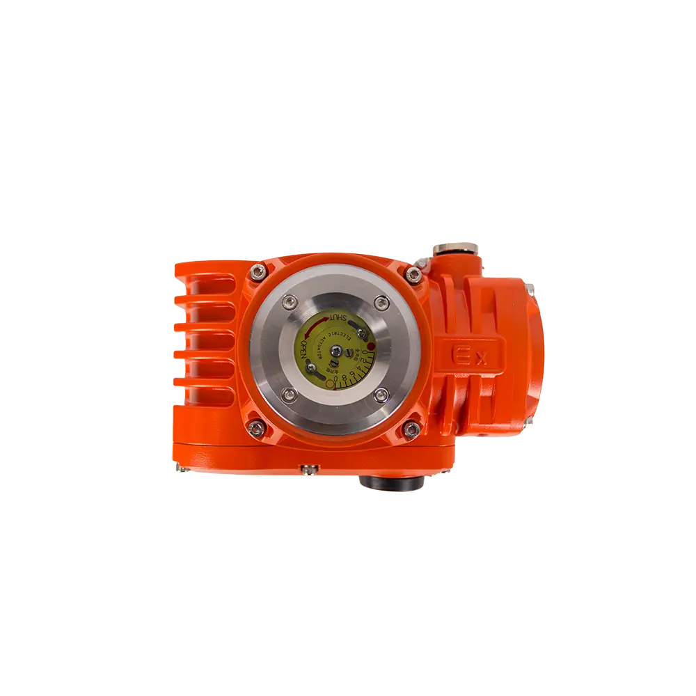 Explosion proof electric actuator 4