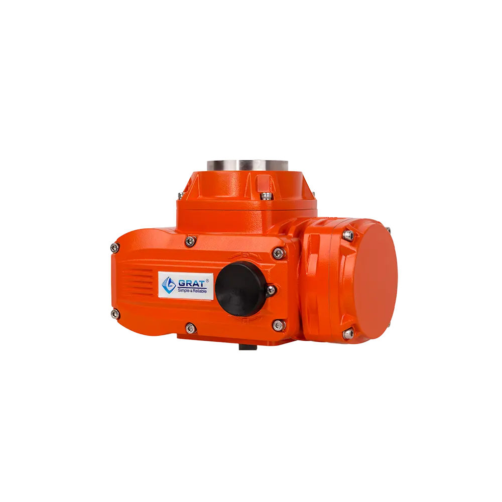 Explosion proof electric actuator 5