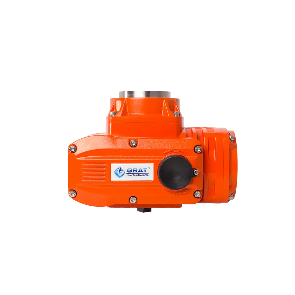 Explosion proof electric actuator 6