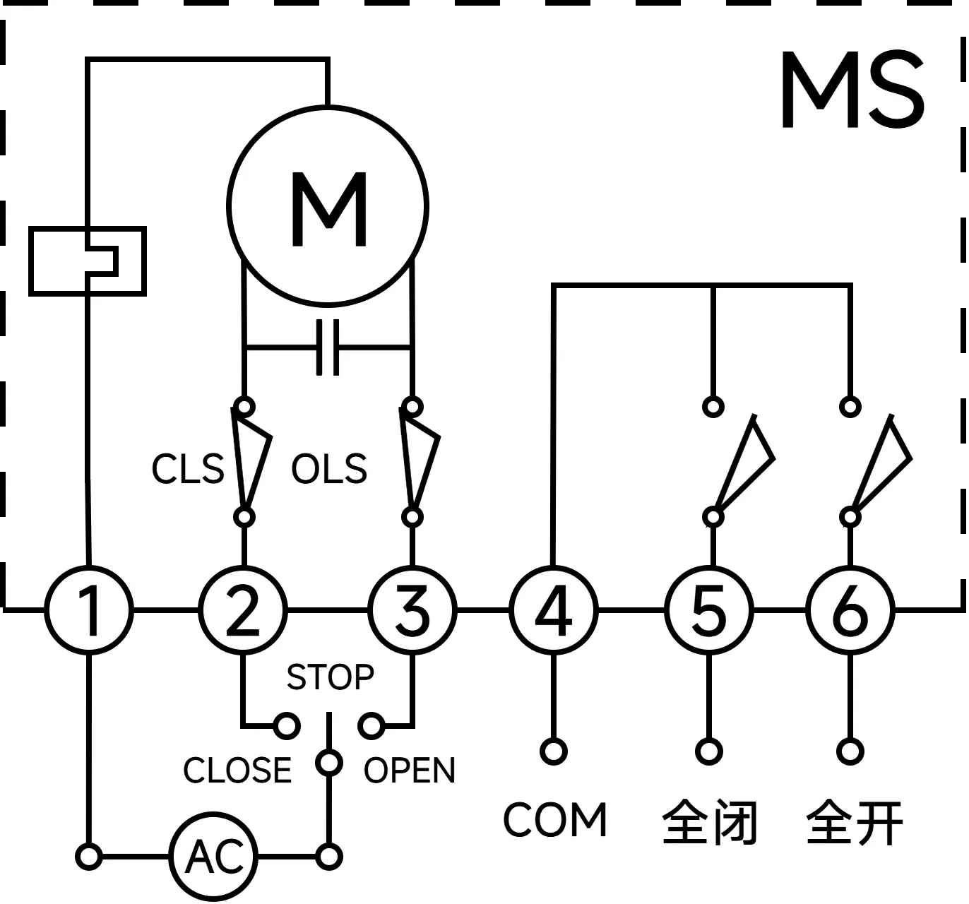 电路 MS